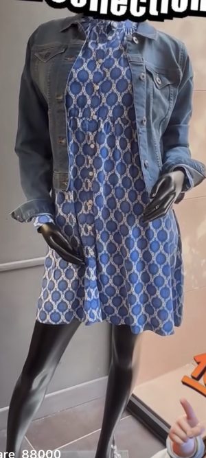 Robe bleue et blanche